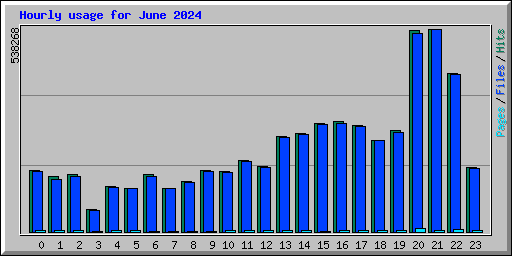 Hourly usage for June 2024