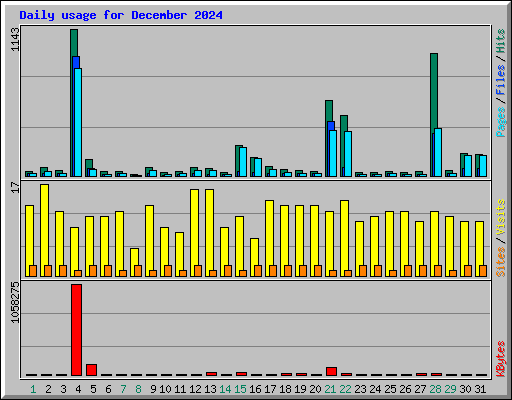 Daily usage for December 2024