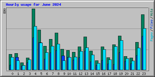 Hourly usage for June 2024