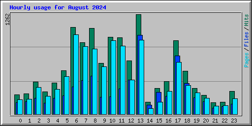 Hourly usage for August 2024