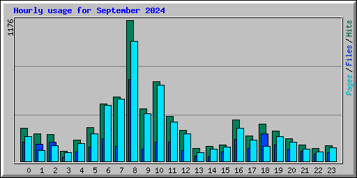 Hourly usage for September 2024