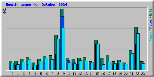 Hourly usage for October 2024