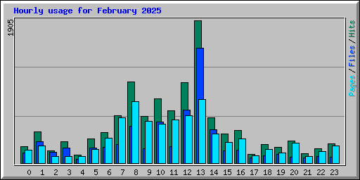 Hourly usage for February 2025