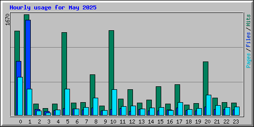 Hourly usage for May 2025