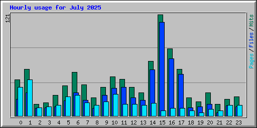 Hourly usage for July 2025