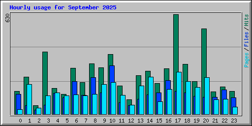 Hourly usage for September 2025