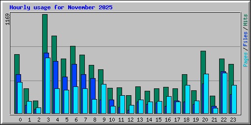 Hourly usage for November 2025