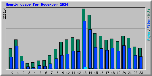 Hourly usage for November 2024
