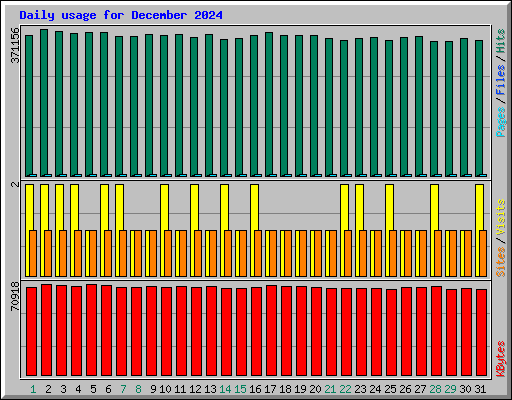 Daily usage for December 2024