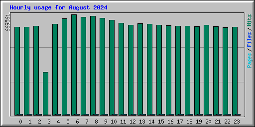 Hourly usage for August 2024