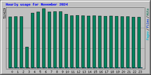 Hourly usage for November 2024