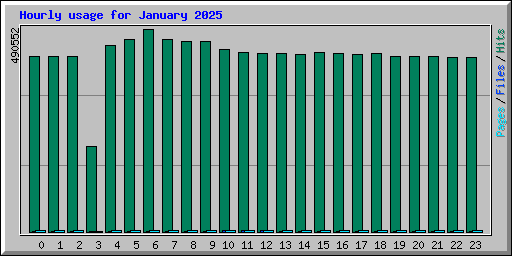 Hourly usage for January 2025