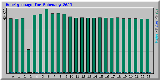 Hourly usage for February 2025