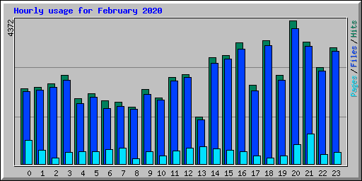 Hourly usage for February 2020