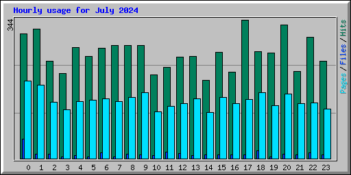 Hourly usage for July 2024