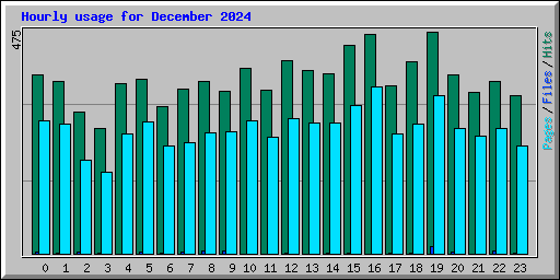 Hourly usage for December 2024