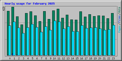 Hourly usage for February 2025