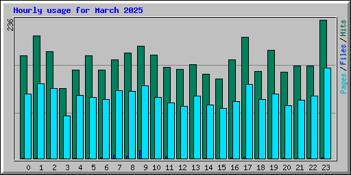 Hourly usage for March 2025