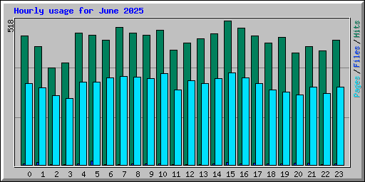 Hourly usage for June 2025