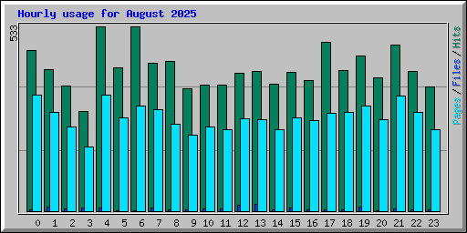 Hourly usage for August 2025