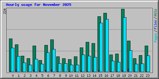 Hourly usage for November 2025