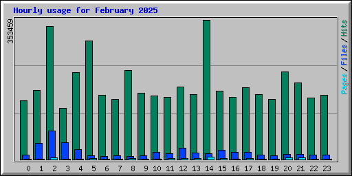 Hourly usage for February 2025