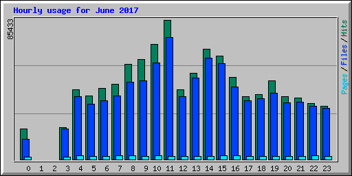 Hourly usage for June 2017