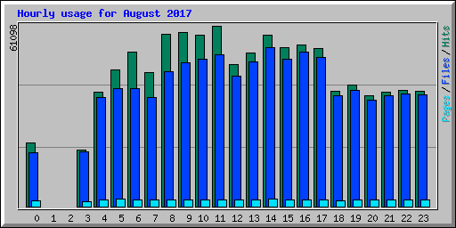 Hourly usage for August 2017