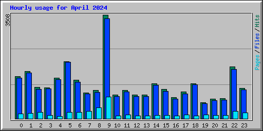 Hourly usage for April 2024