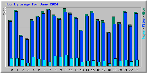 Hourly usage for June 2024