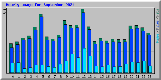 Hourly usage for September 2024