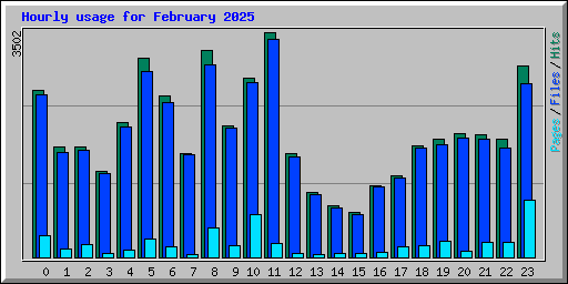 Hourly usage for February 2025