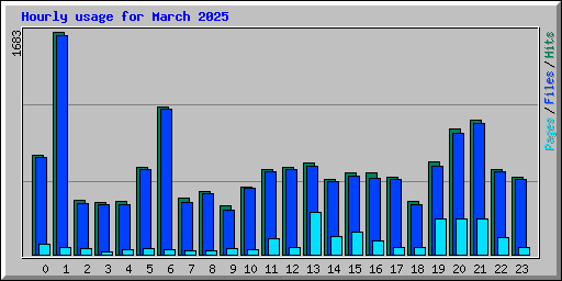 Hourly usage for March 2025