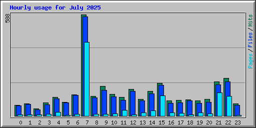 Hourly usage for July 2025