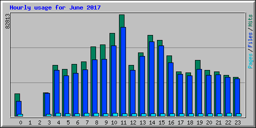 Hourly usage for June 2017