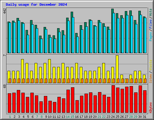 Daily usage for December 2024