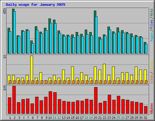 Daily usage for January 2025