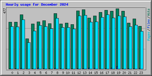 Hourly usage for December 2024