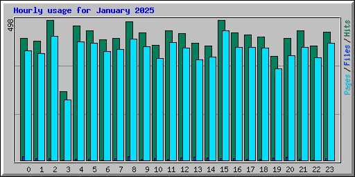 Hourly usage for January 2025