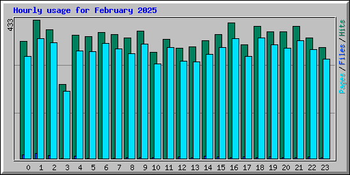 Hourly usage for February 2025