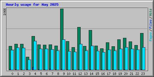 Hourly usage for May 2025