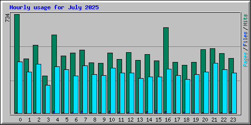 Hourly usage for July 2025