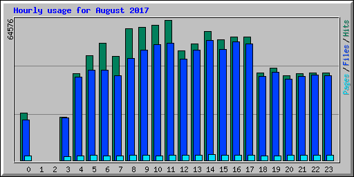 Hourly usage for August 2017