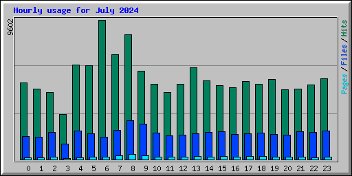 Hourly usage for July 2024