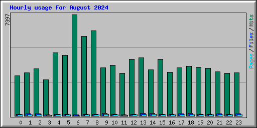 Hourly usage for August 2024
