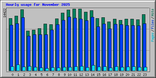 Hourly usage for November 2025