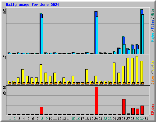 Daily usage for June 2024