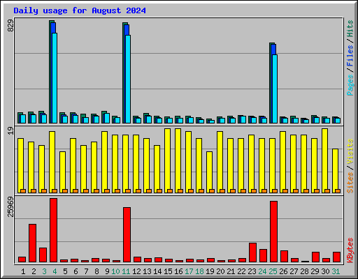 Daily usage for August 2024