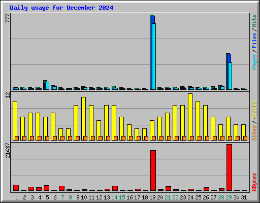 Daily usage for December 2024