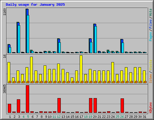 Daily usage for January 2025